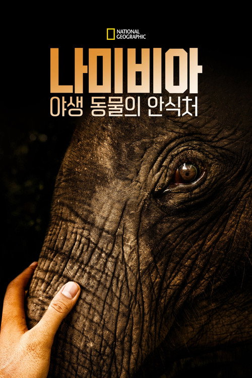 야생 동물 포스터